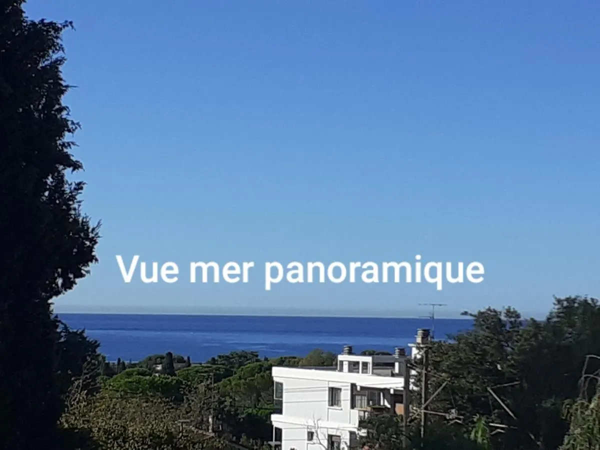 Appartement Vue Mer: Terrasse Panoramique et Confort Bandol France